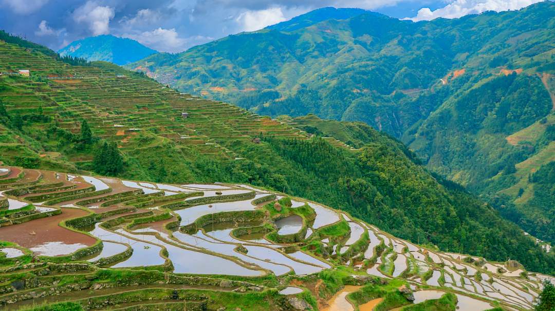 22個省市將氫能寫入2024地方政府工作報告，明確重點部署氫能