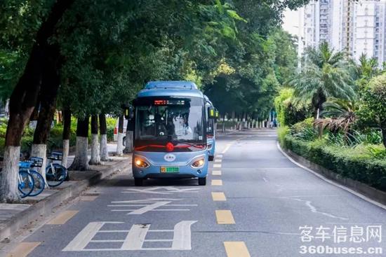 1709771390404271.jpg 10.jpg