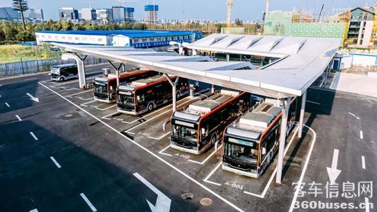 1710304158270864.jpg 8.jpg