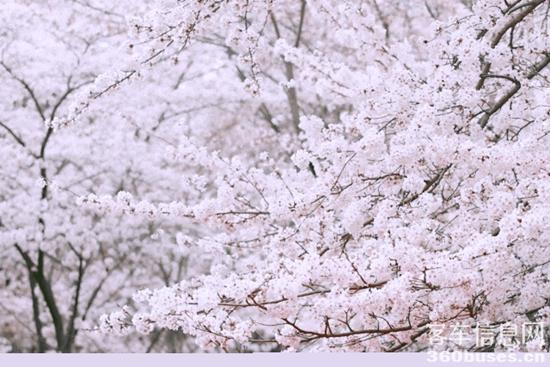 1709771357948524.jpg 5.jpg